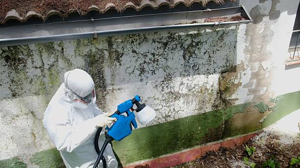 Trusted Crawl Space Mold Removal service in Westport, PA - Cheap Mold Removal